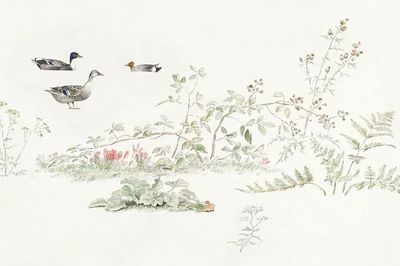 Studieblad met planten en watervogels. poster