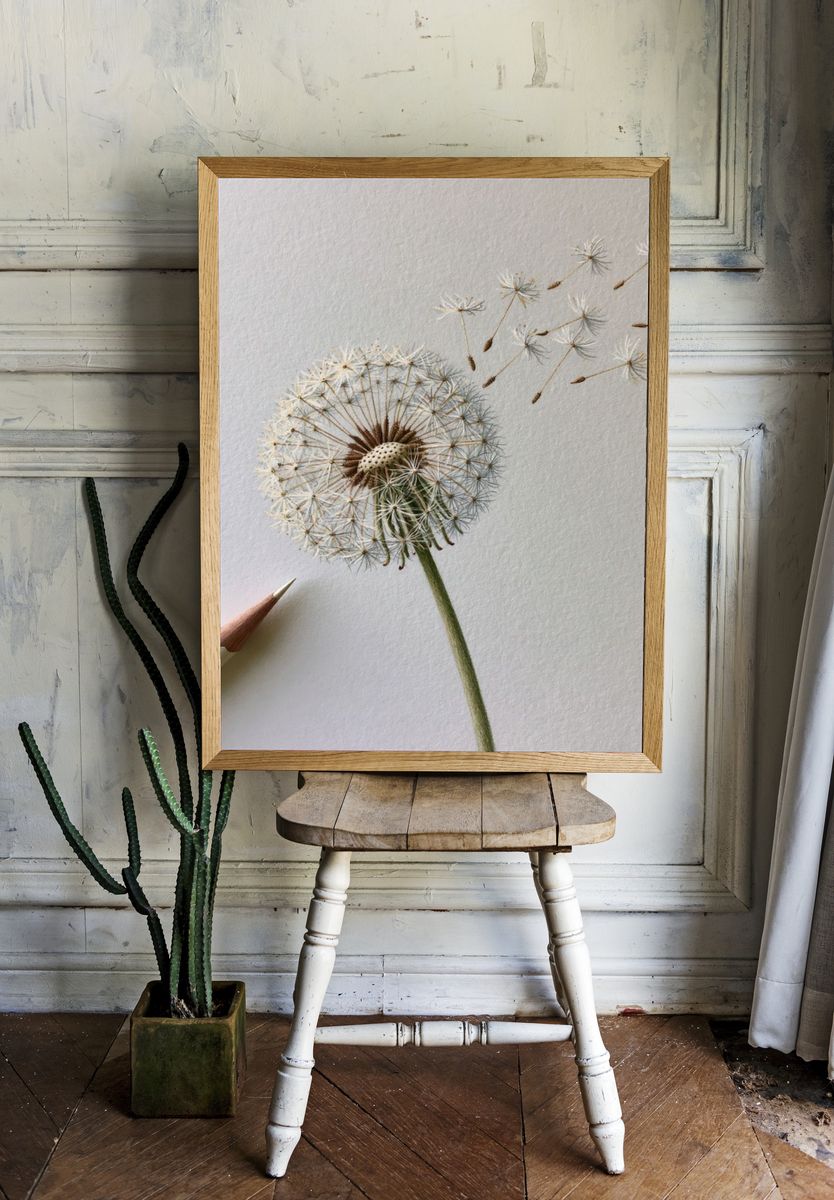 Dandelion Seed Drift Botanical Print. room preview