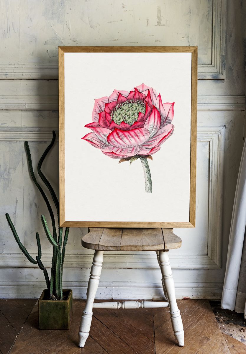Hand drawn lotus. Original Biodiversity. — room view 1