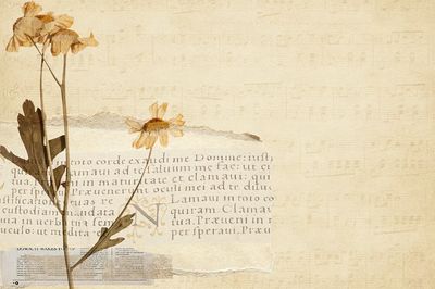 Vintage background faded architecture illustration. poster print