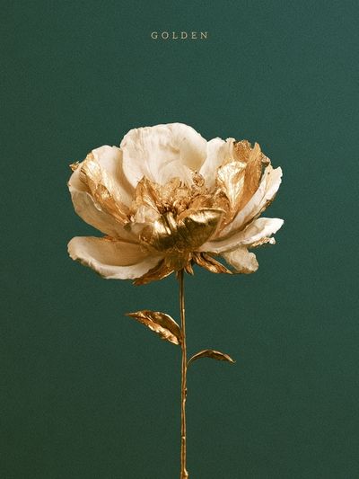 Golden Flower Botanical Print. poster