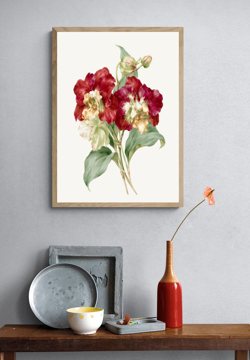Red Tulip Botanical Print. — room view 3