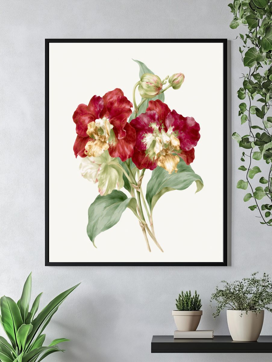 Red Tulip Botanical Print. — room view 4