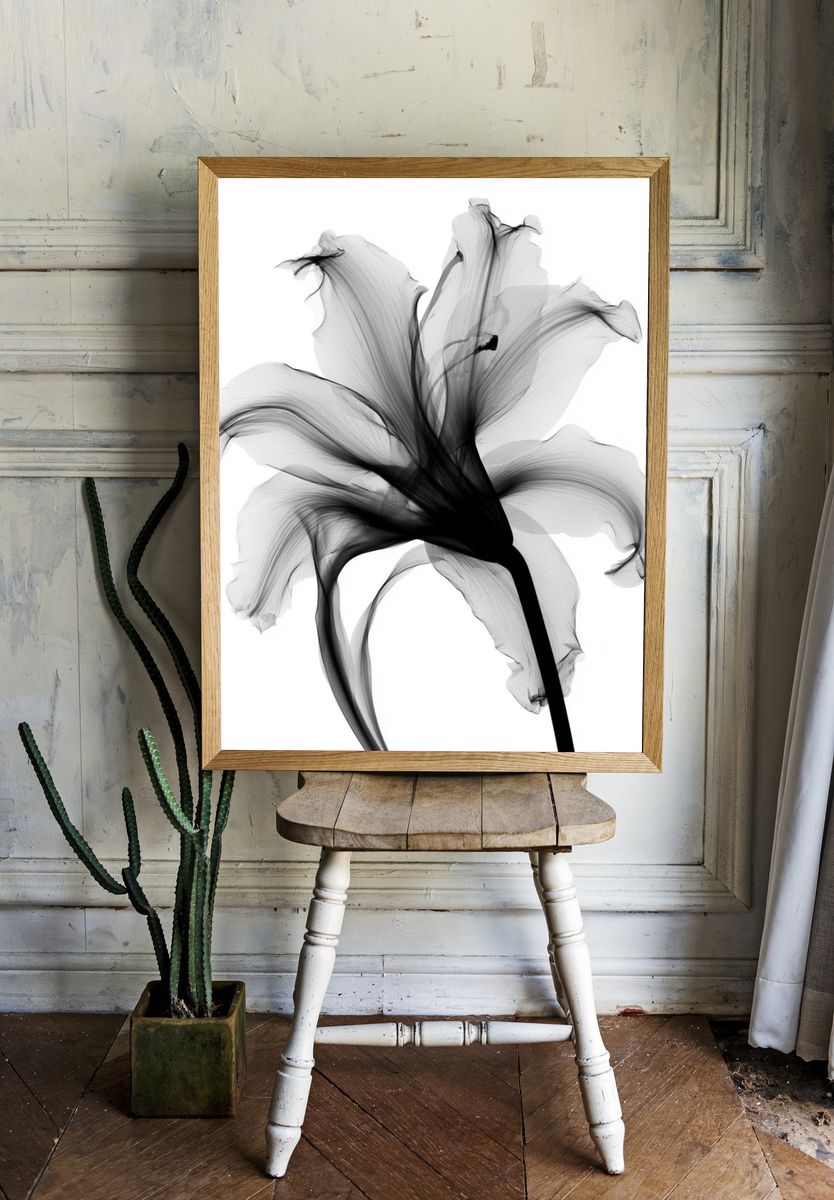 Monochrome Lily Abstract Print. — room view 1