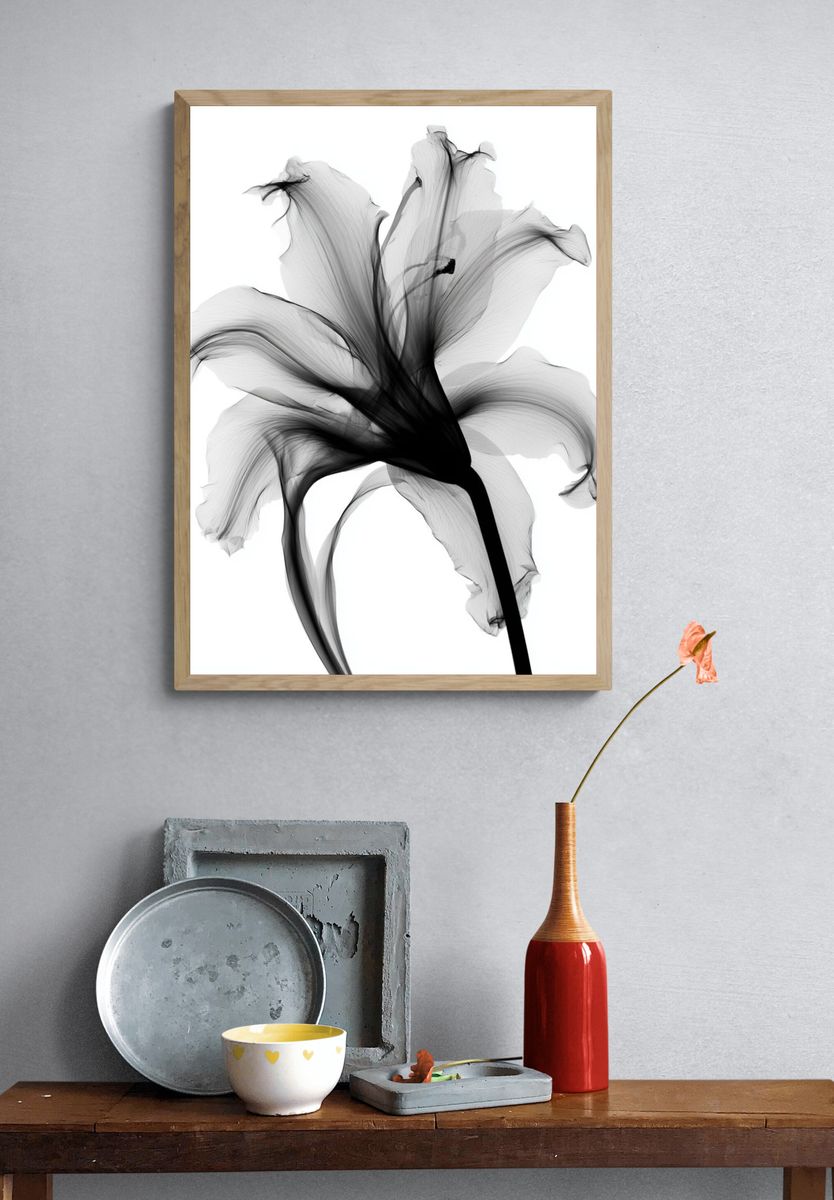 Monochrome Lily Abstract Print. — room view 3