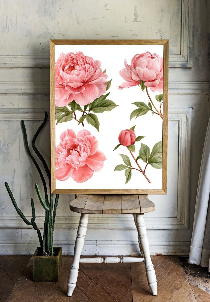 Pink Peony Botanical Print. — room view 1