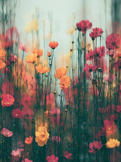 Dreamy Wildflower Meadow Print. poster print