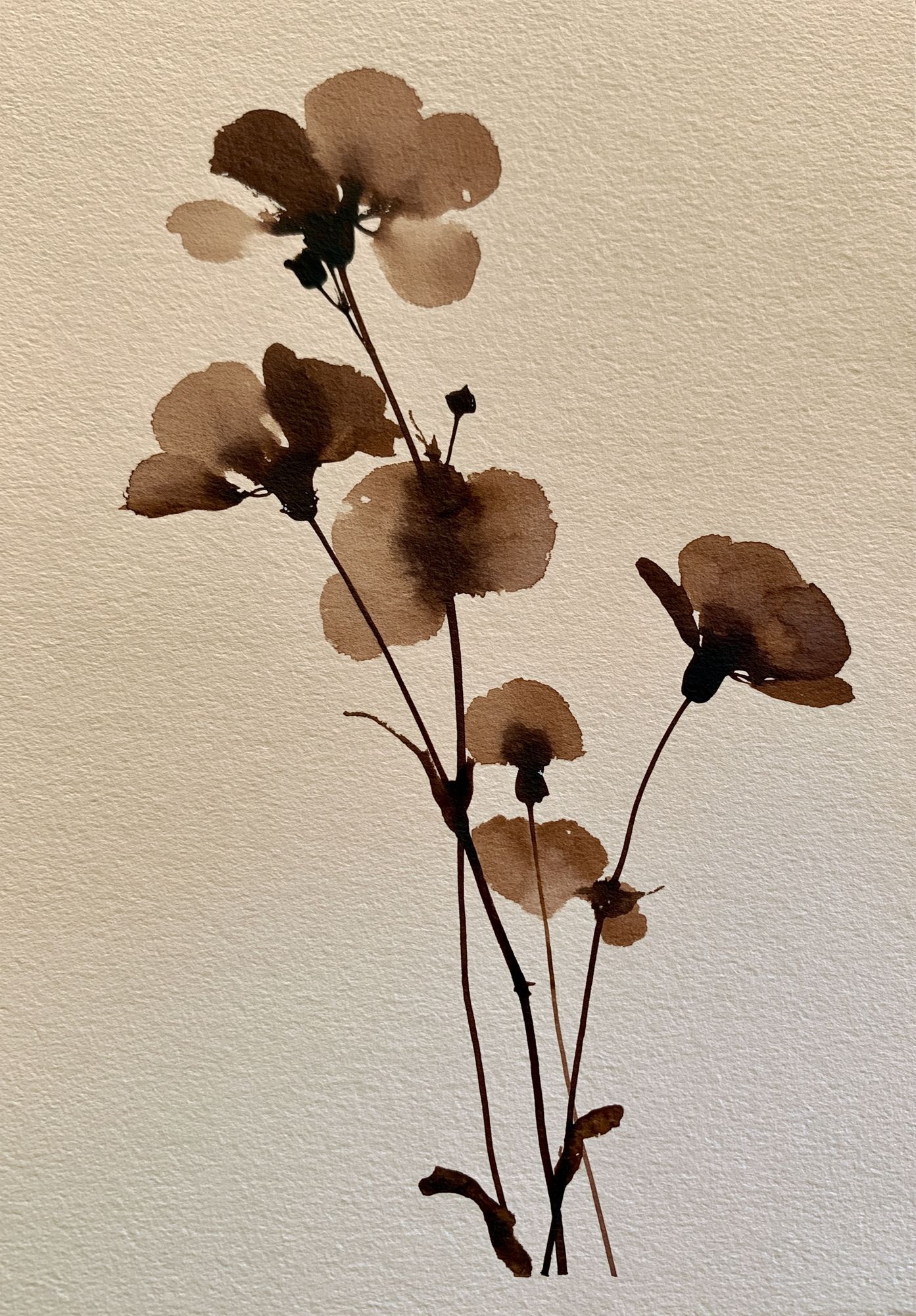 Pressed Botanical Silhouette Print. poster detail