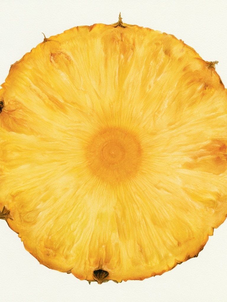 Pineapple Slice Botanical Print. poster detail