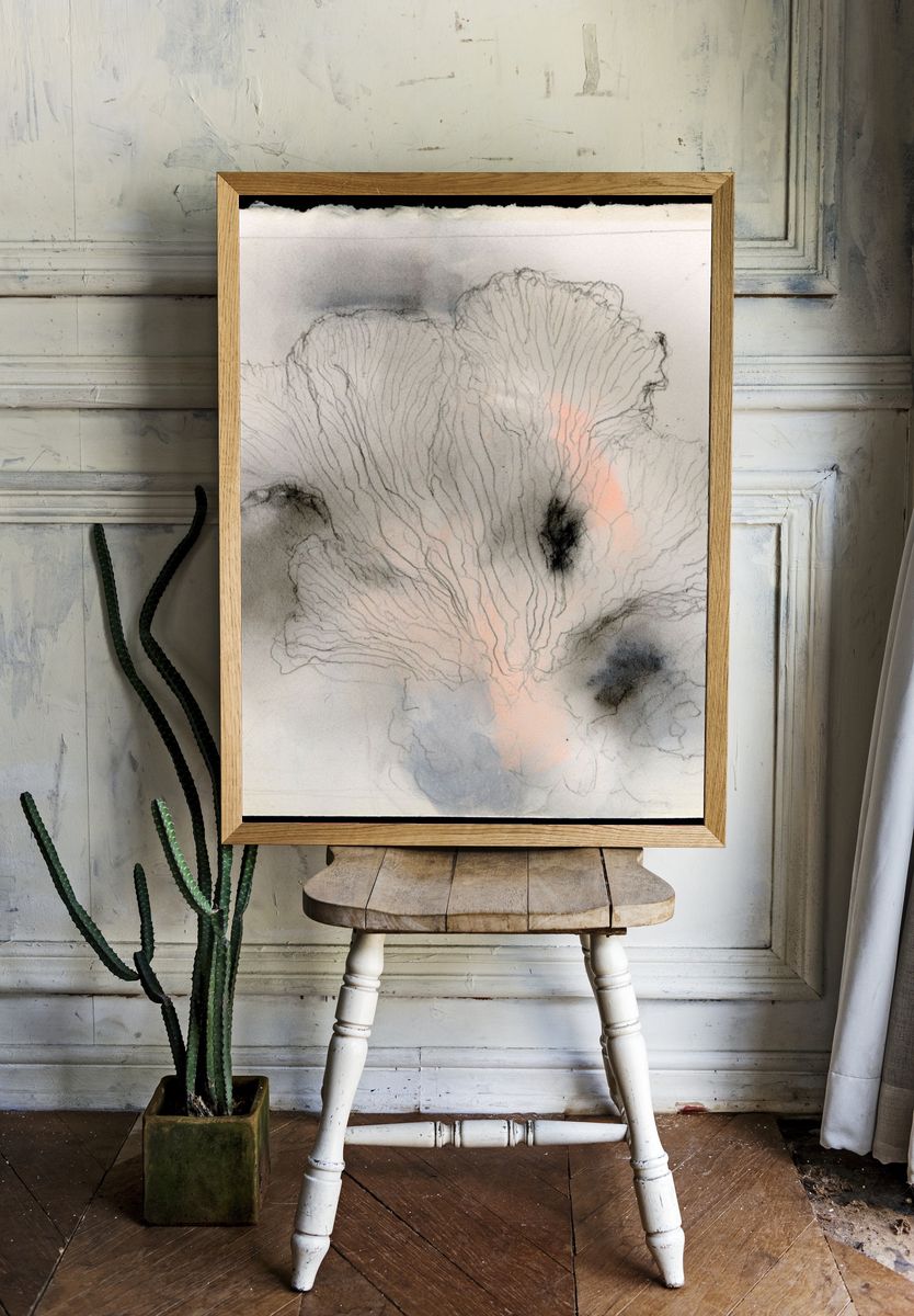 Soft Coral Bloom Abstract Print. — room view 1