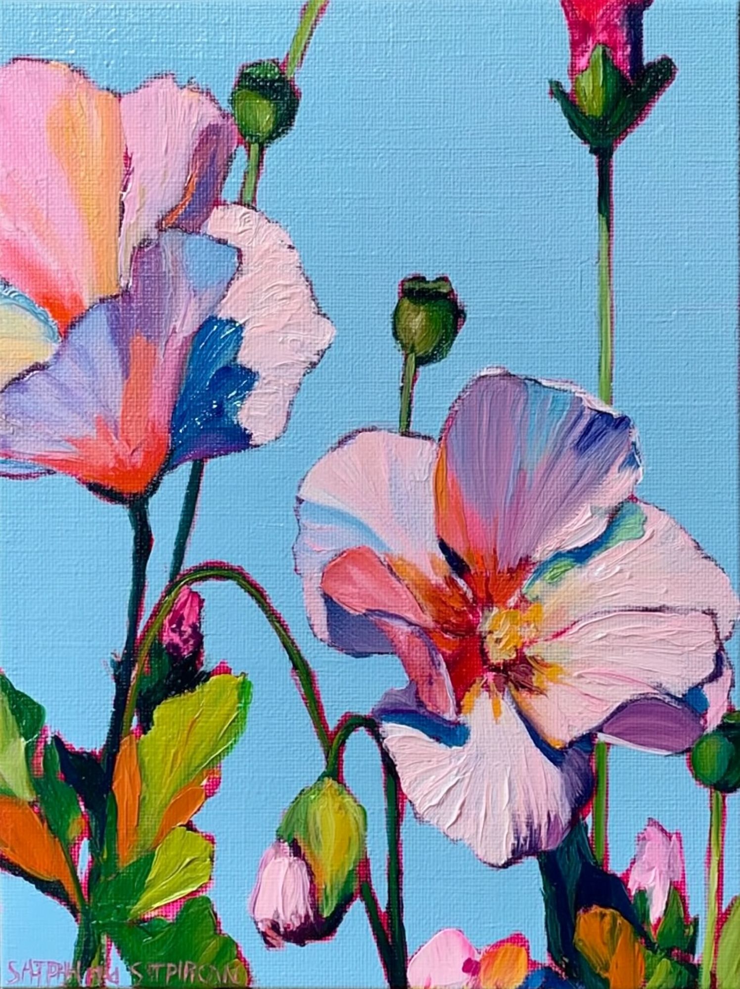 Pastel Poppy Bloom Illustration Poster. poster — botanical art