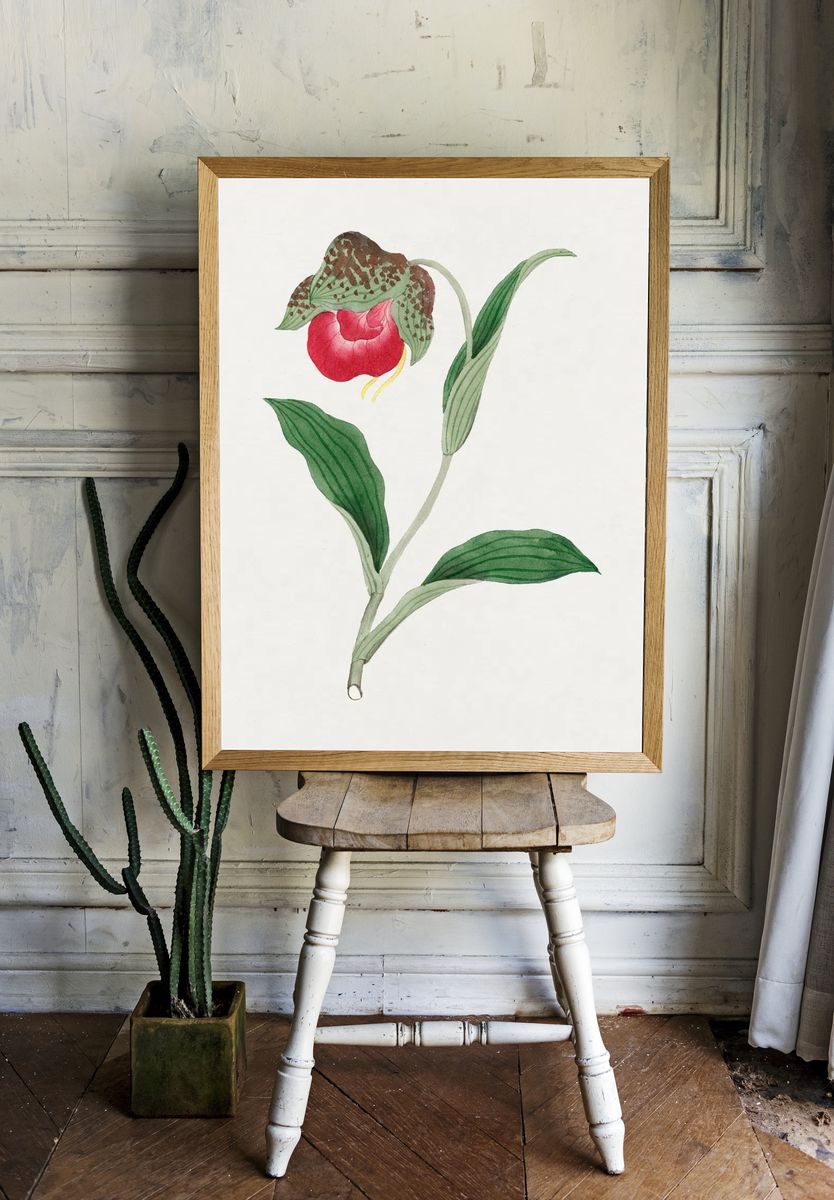 Red Orchid Botanical Print room preview
