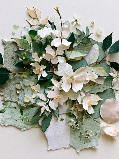 Botanical Collage Floral Print. poster print