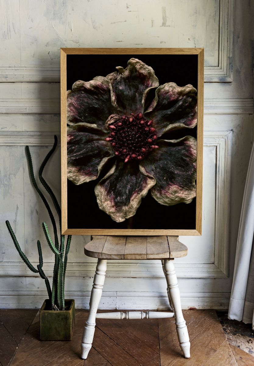 Dark Bloom Botanical Print. room preview