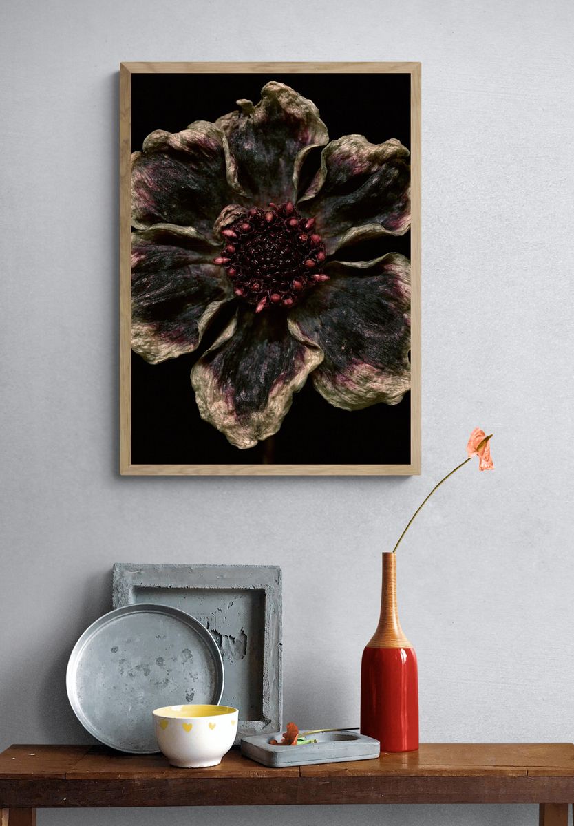 Dark Bloom Botanical Print. — room view 3