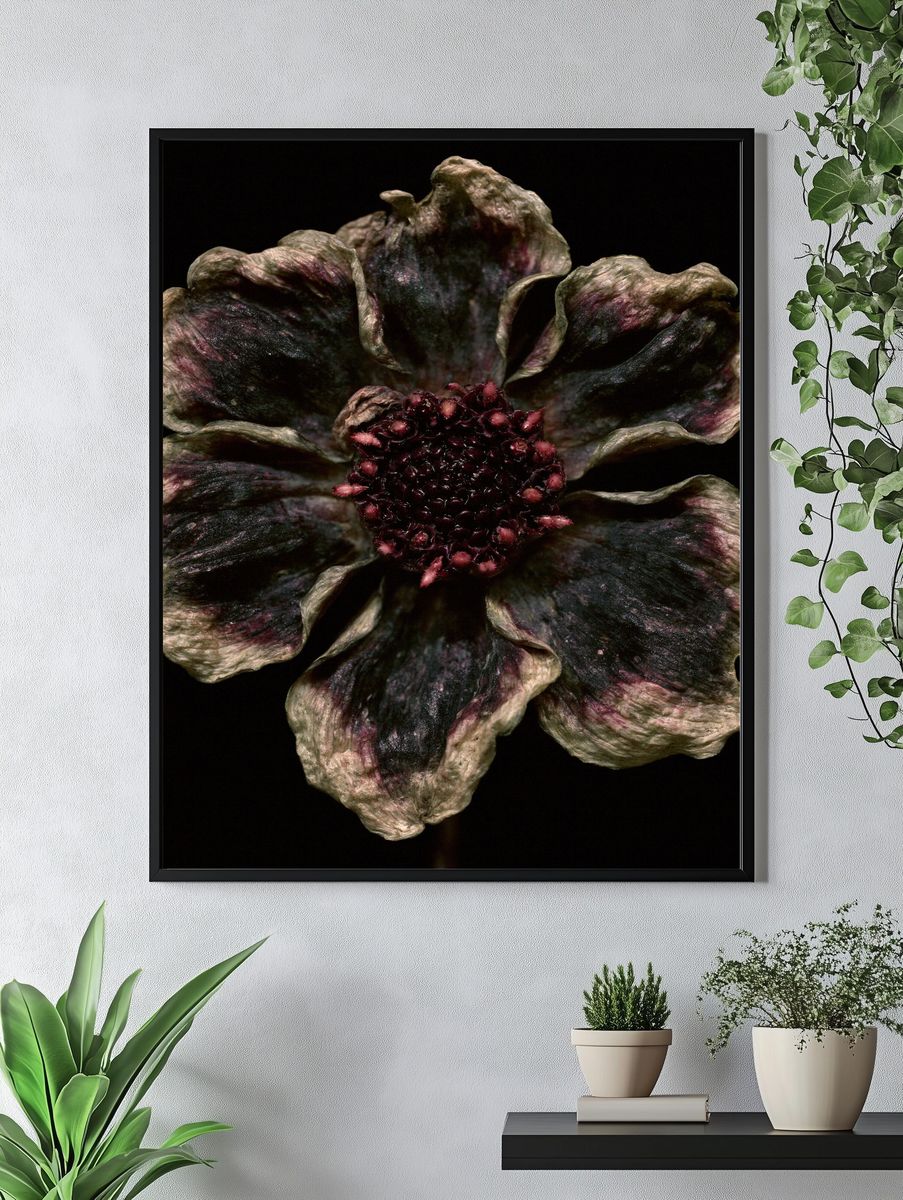 Dark Bloom Botanical Print. — room view 4