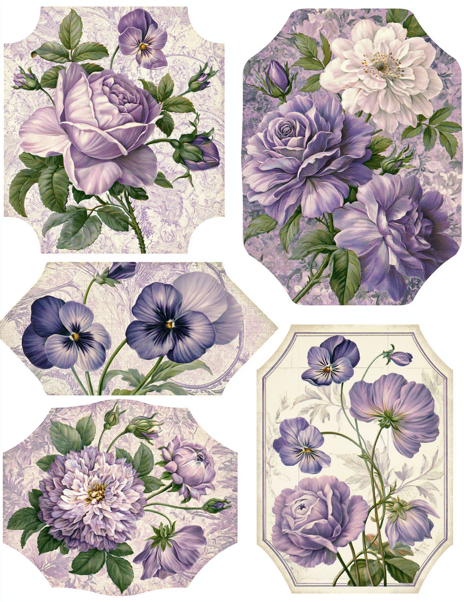 Lavender Floral Botanical Poster. poster detail