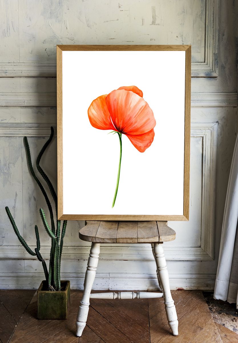 Orange Poppy Watercolor Print. — room view 1