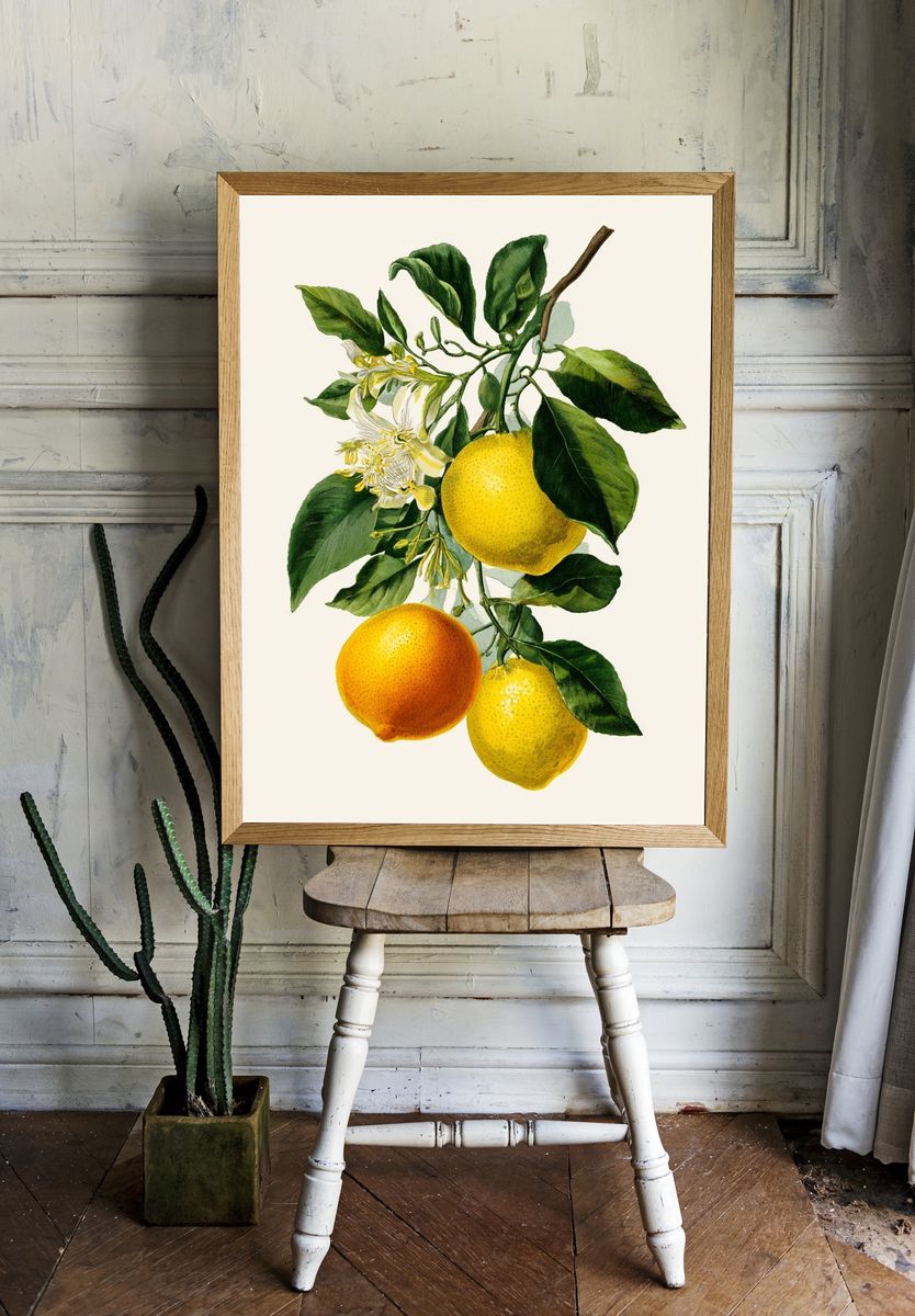 Citrus Fruits Botanical Print room preview
