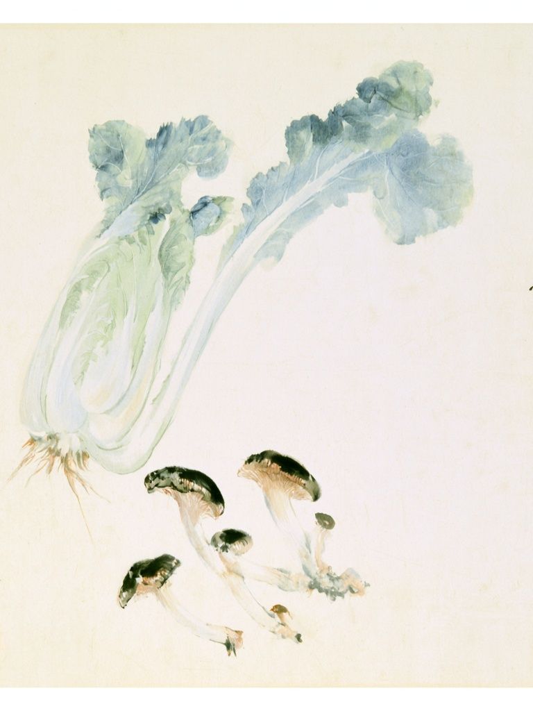 Chinese Cabbage and Mushrooms Print. poster detail