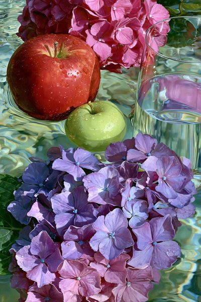 Hydrangeas and Apples Botanical Print. poster print