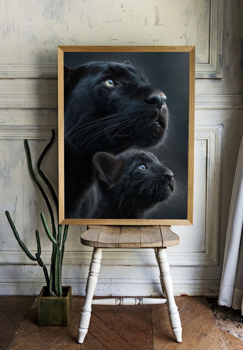 Majestic Black Panthers Poster. — room view 1