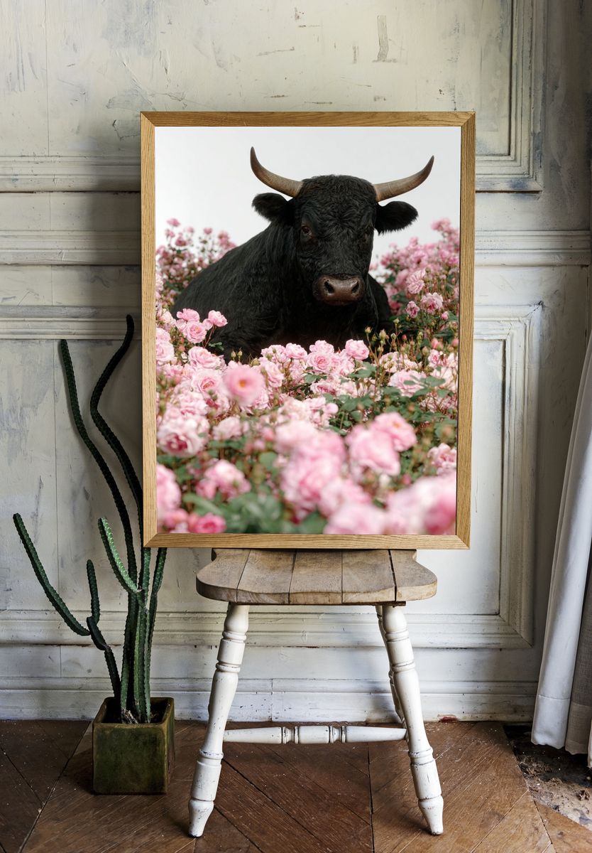 Black Bull in Pink Roses Poster room preview