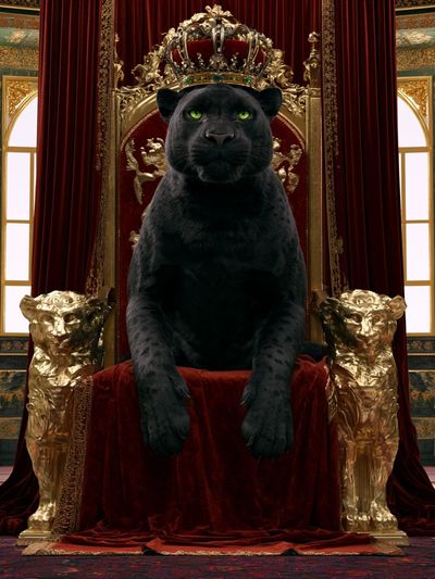 Black Panther Throne Illustration Poster.