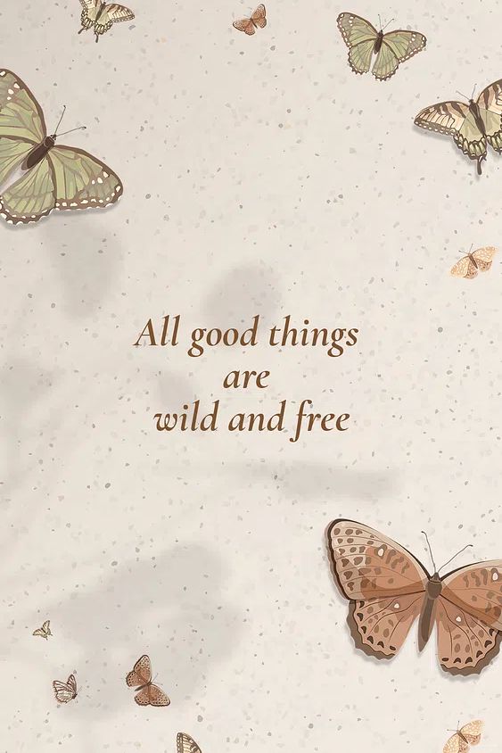 Butterflies and Quotes Poster. poster — illustration art