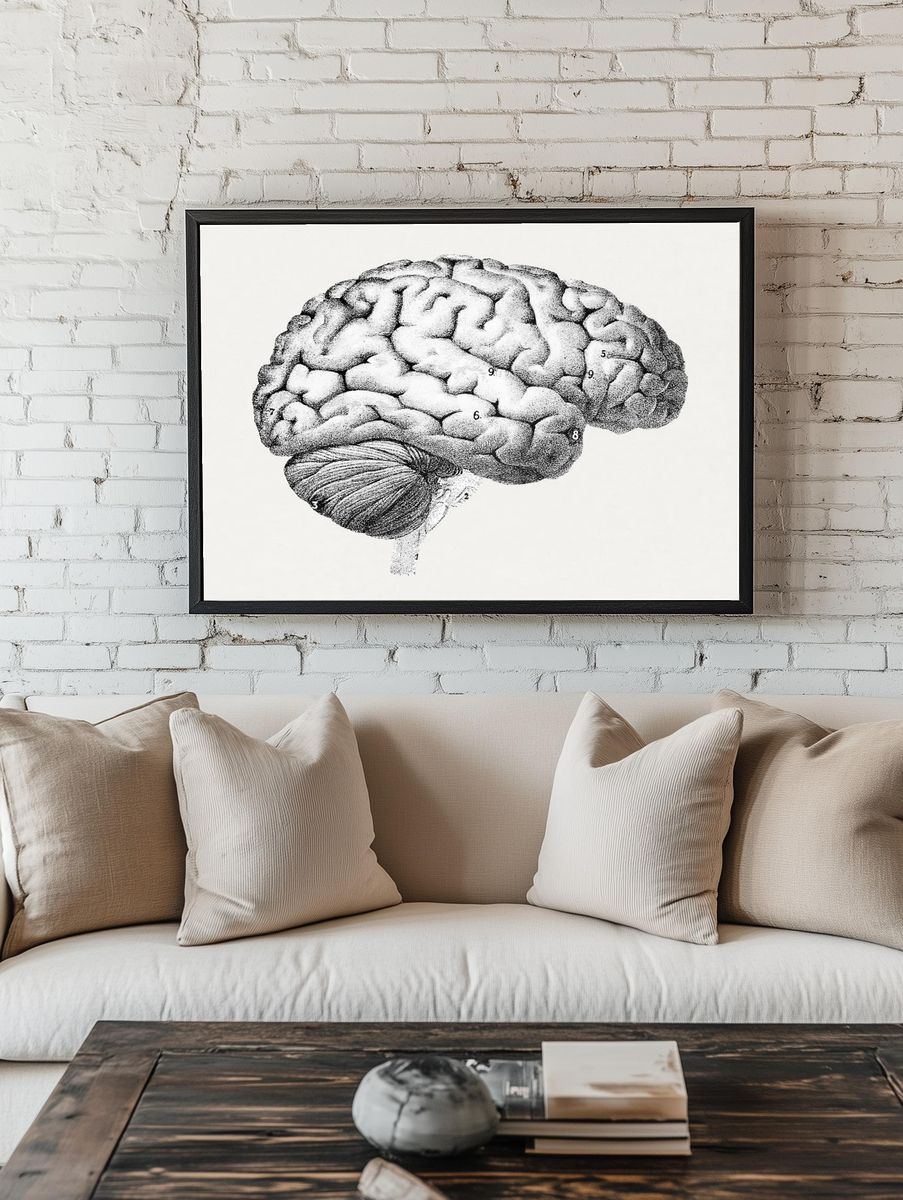 Anatomical Brain Illustration Poster room preview