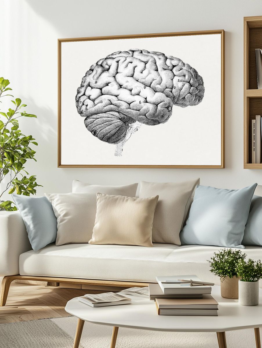 Anatomical Brain Illustration Poster. — room view 2