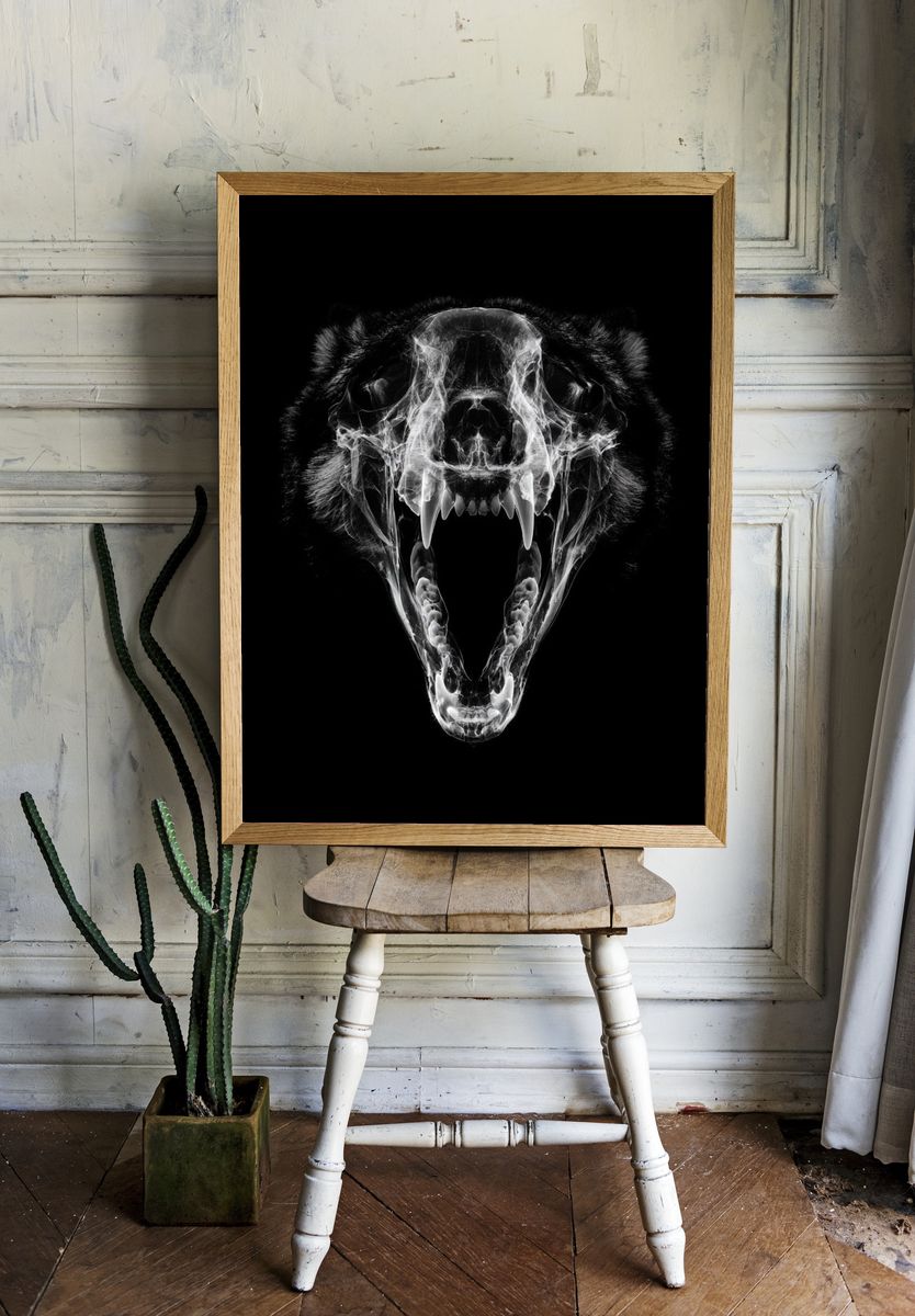 Roaring Bear Skull Black-White Poster. — room view 1