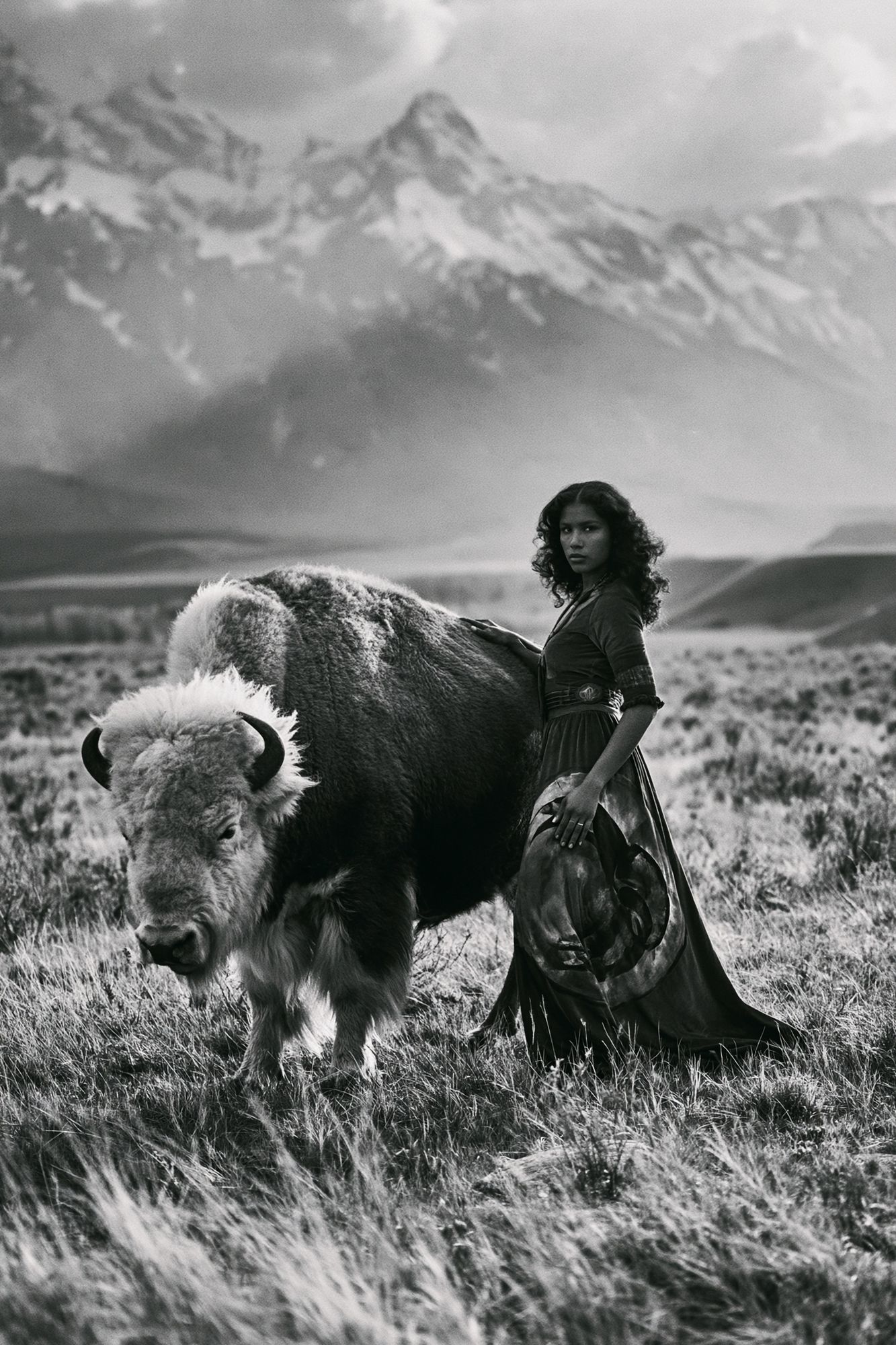 Bison Portrait Photography Poster. poster detail