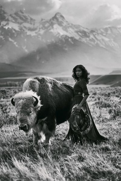 Bison Portrait Photography Poster.