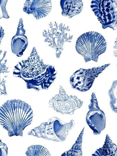 Blue Seashell Pattern Print. poster print