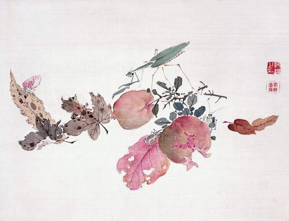 Botanical Still Life — Watercolor Print. poster — botanical art
