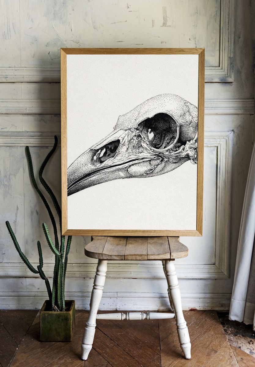 Bird Skull — Fine Art Print room preview