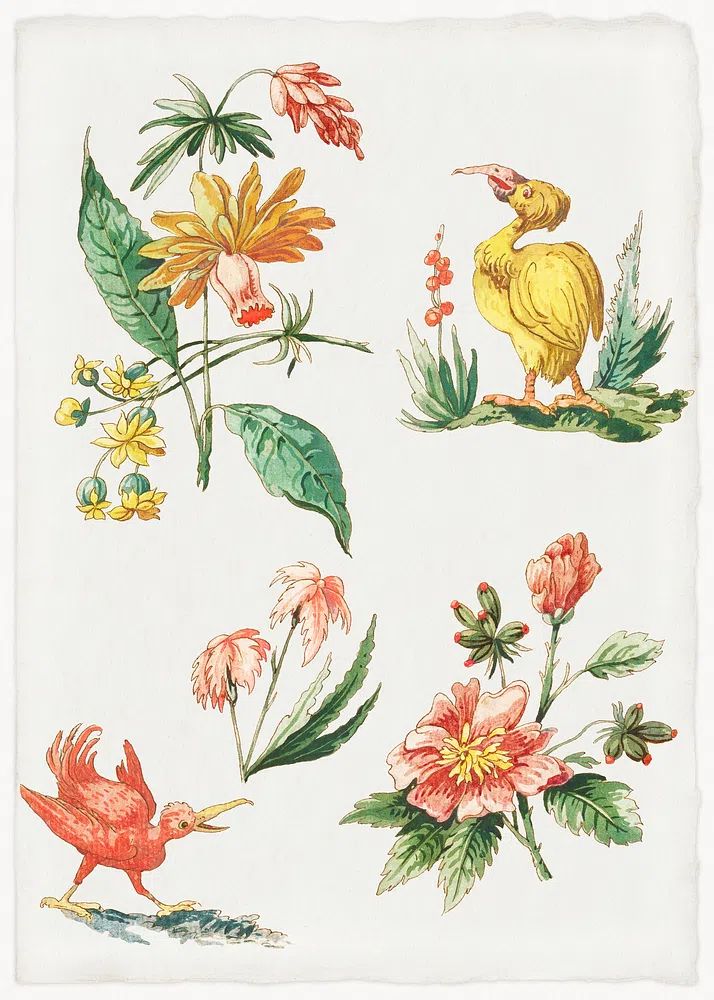 Vintage Botanical Illustration Poster. poster detail