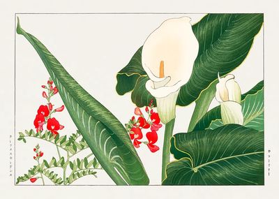 Tropical Botanical Illustration Poster. poster print