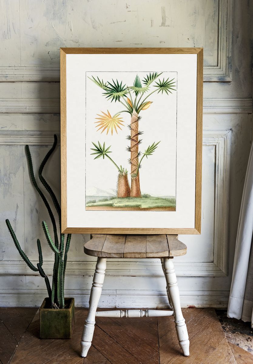 Tropical Palm Tree Botanical Print. room preview
