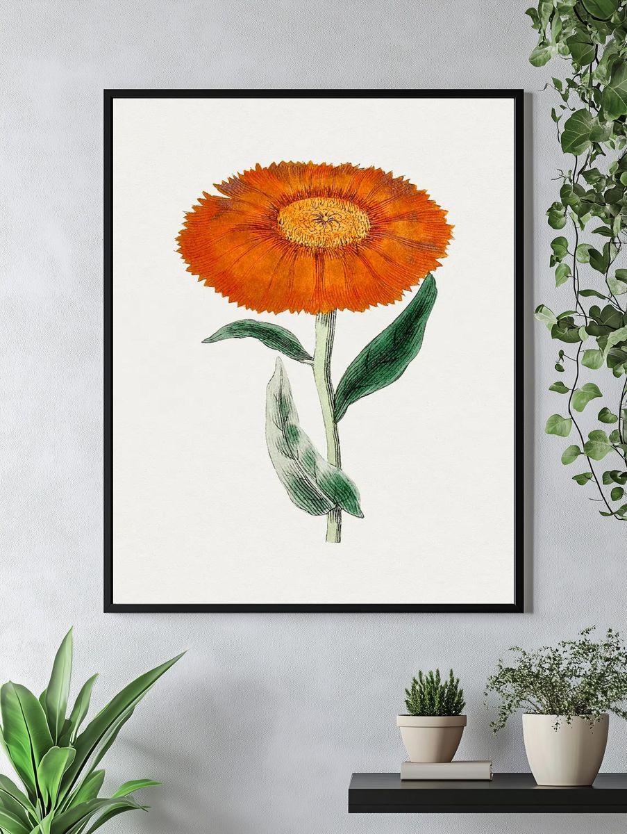 Orange Flower Botanical Poster. — room view 4
