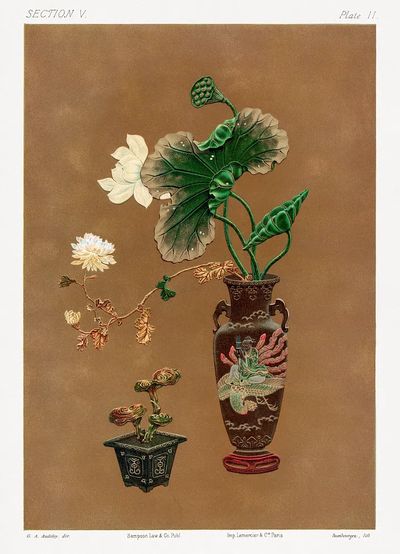 Lotus Flowers and Decorative Vases — Botanical Print. poster print