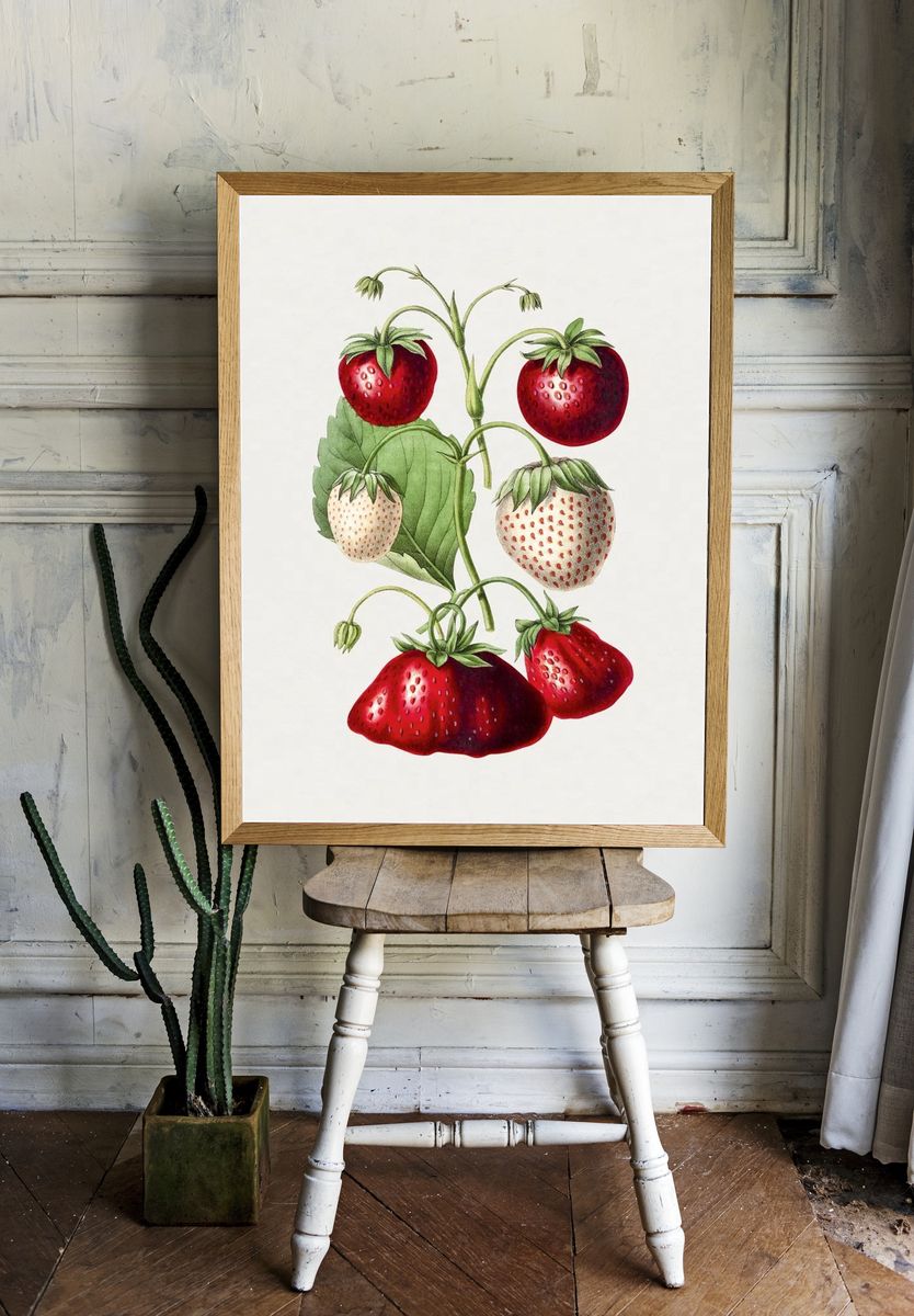 Strawberry Botanical Print room preview