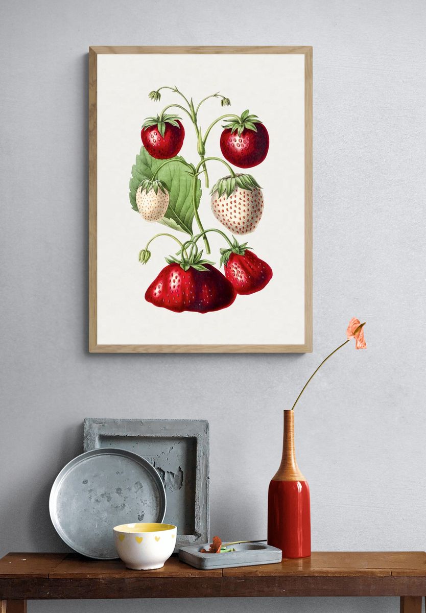 Strawberry Botanical Print. — room view 3