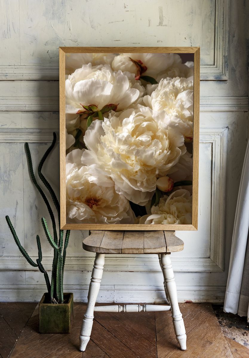 White Peonies — Botanical Print room preview