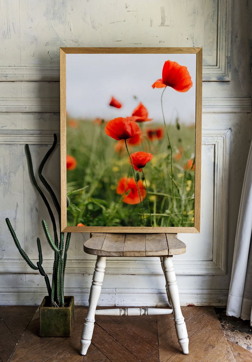 Vibrant Red Poppies — Botanical Print. room preview