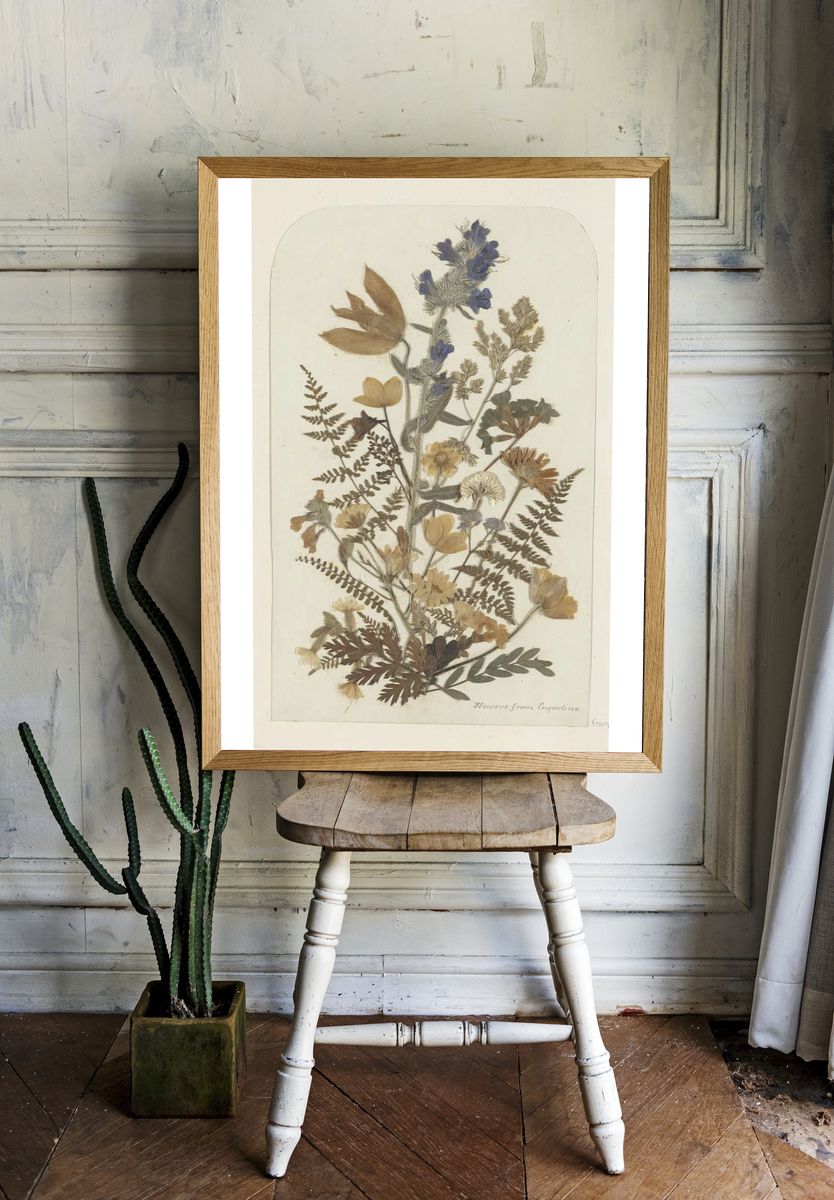 Dried Flowers from Engadine — Botanical Print. room preview