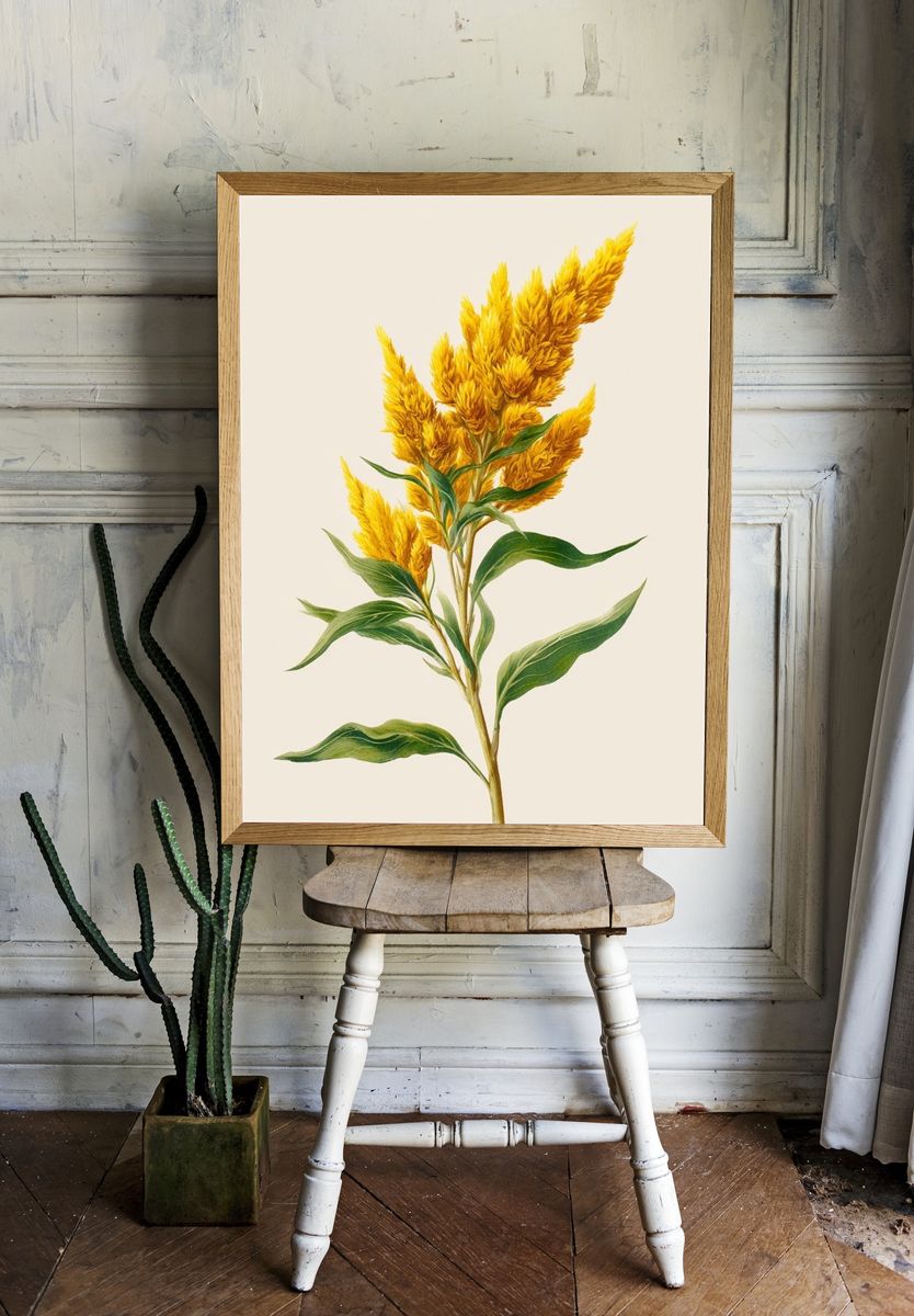 Yellow Celosia Botanical Print. — room view 1