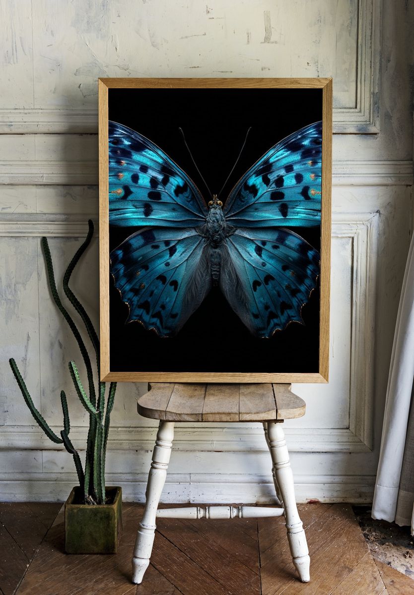 Blue Butterfly — Nature Print. — room view 1