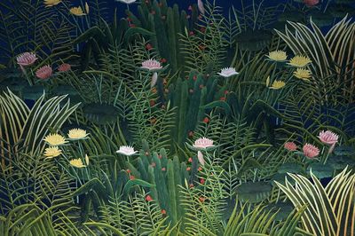 Tropical Water Lilies — Botanical Print. poster print
